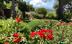 MAS TRAMONTANE chambres d'hôtes, studio, ancien mas agricole dans parc arboré, piscine et sa vue face au Canigou